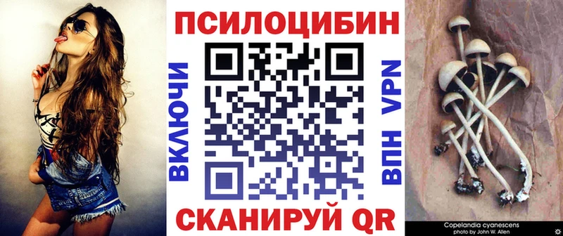 Галлюциногенные грибы MAGIC MUSHROOMS  наркошоп  Яхрома 
